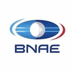 Bnae