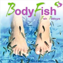 Bodyfish Votre Fishexpérience En Alsace