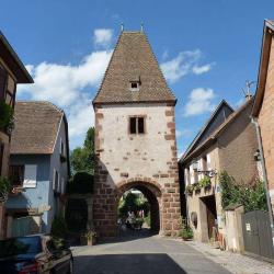 Boersch