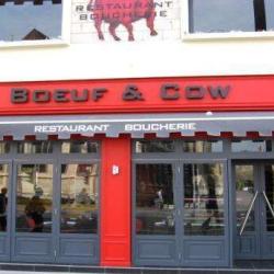 Boeuf And Cow