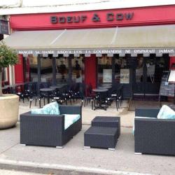 Boeuf And Cow