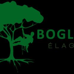Boglioni, élagueur Dans Le 78