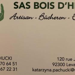 Bois D Hiver Abattage Et Elagage D'arbres