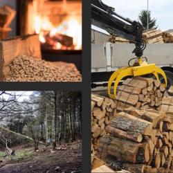 Bois De Chauffage 49