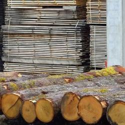 Bois Du Rouergue