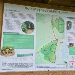 Bois Magneux Et Fo Timon