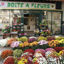 Boite A Fleurs