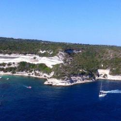 Bonifacio