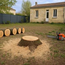 Bordeaux élagage