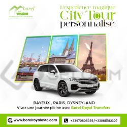 Borel Royal Transfert