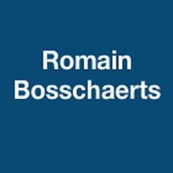 Bosschaerts Romain