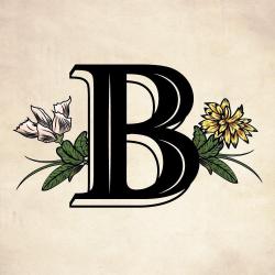 Bota Pub