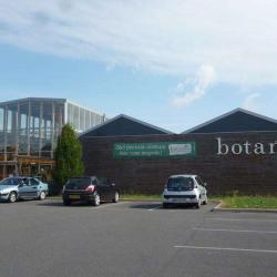 Botanic