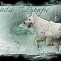 Boudier