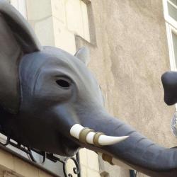 Boudoir Des Curiosites (le)