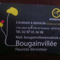 Bougainvillee