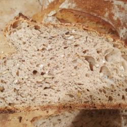 Boulangerie Paneterra
