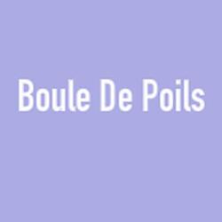 Boule De Poils