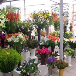 Bouquetiere