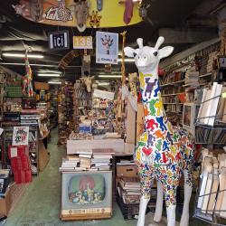 Bouquinerie La Girafe