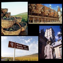 Bourgogne Découverte