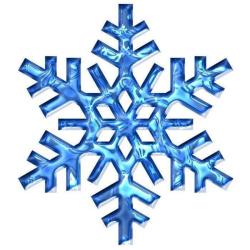 Bourgoin Froid Christophe