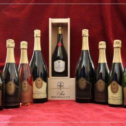 Domaine Champagne Bourmault Et Fils