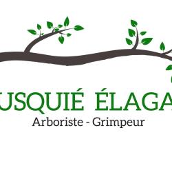 Bousquie Elagage