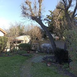 Bouthors Vincent - Jardinier Paysagiste Val D'oise 95