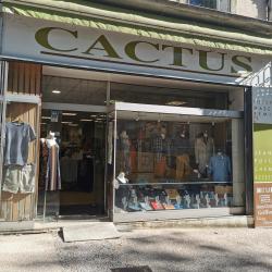 Boutique Cactus