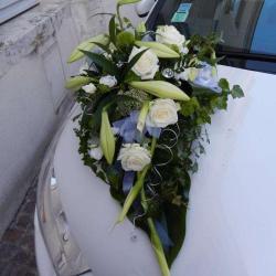 Bouton D'or