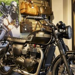 Bouvier Motos Triumph Valence