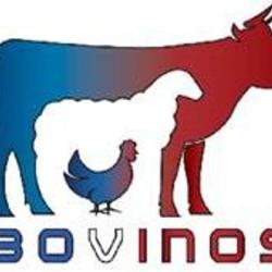 Bovinos