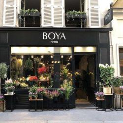 Boya Paris
