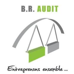 B.r. Audit
