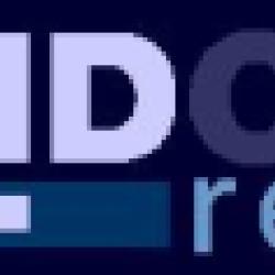 Braidotti Renov