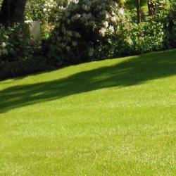 Branche Et Jardin