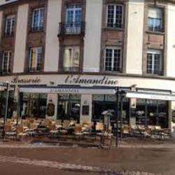 Brasserie L'amandine
