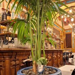 Brasserie La Cigalle