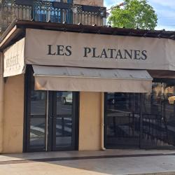 Brasserie Les Platanes