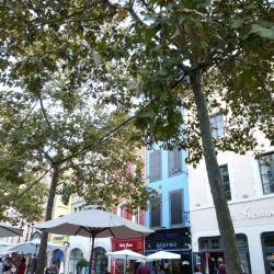 Brasserie P.m.u. Le Longchamp