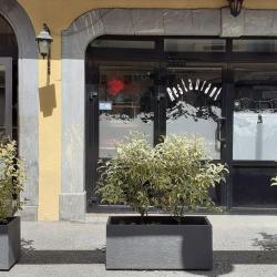 Brasserie Snacking De L'europe