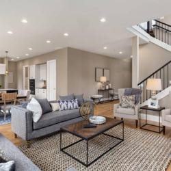 Brd Renovation