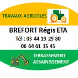 Brefort Regis