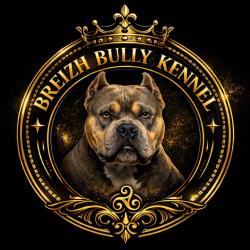 Breizh Bully Kennel