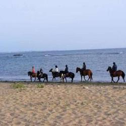 Breizh Equitation