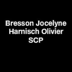 Harnisch Olivier & Papot Frédéric Scp
