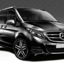 Bretagne Limousine
