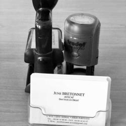 Bretonnet June