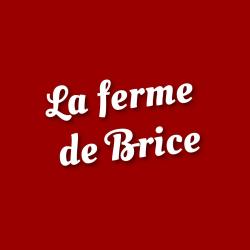Brice Lavocat Fraisiculteur Et Maraîcher